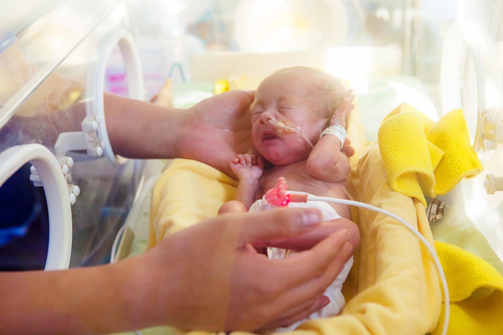 _MG_1666.jpg _MG_1666.jpg