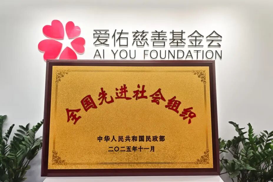 爱佑慈善基金会再次荣膺“全国先进社会组织”称号